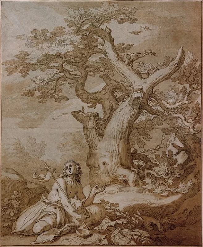 Giovanni Battista nel deserto